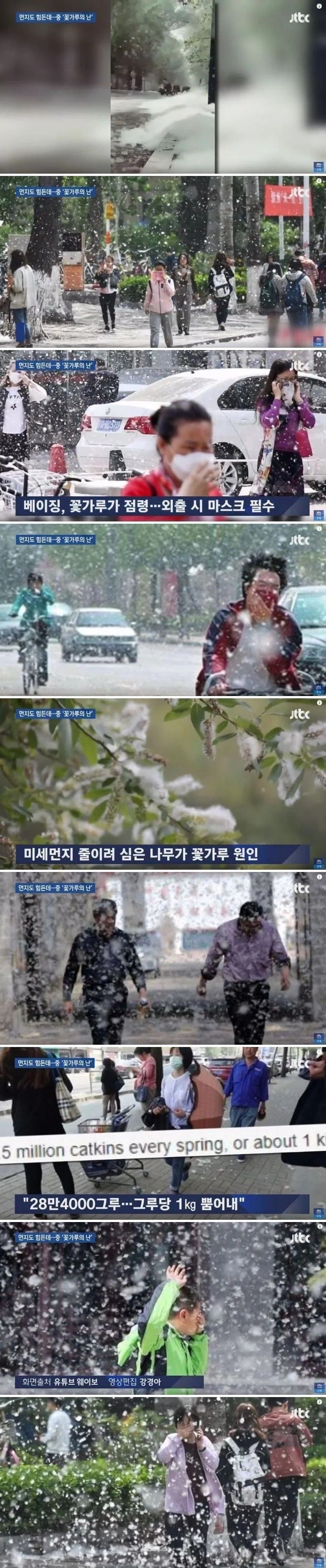 미세먼지 잡겠다고 나무 28만4000그루 심은 중국