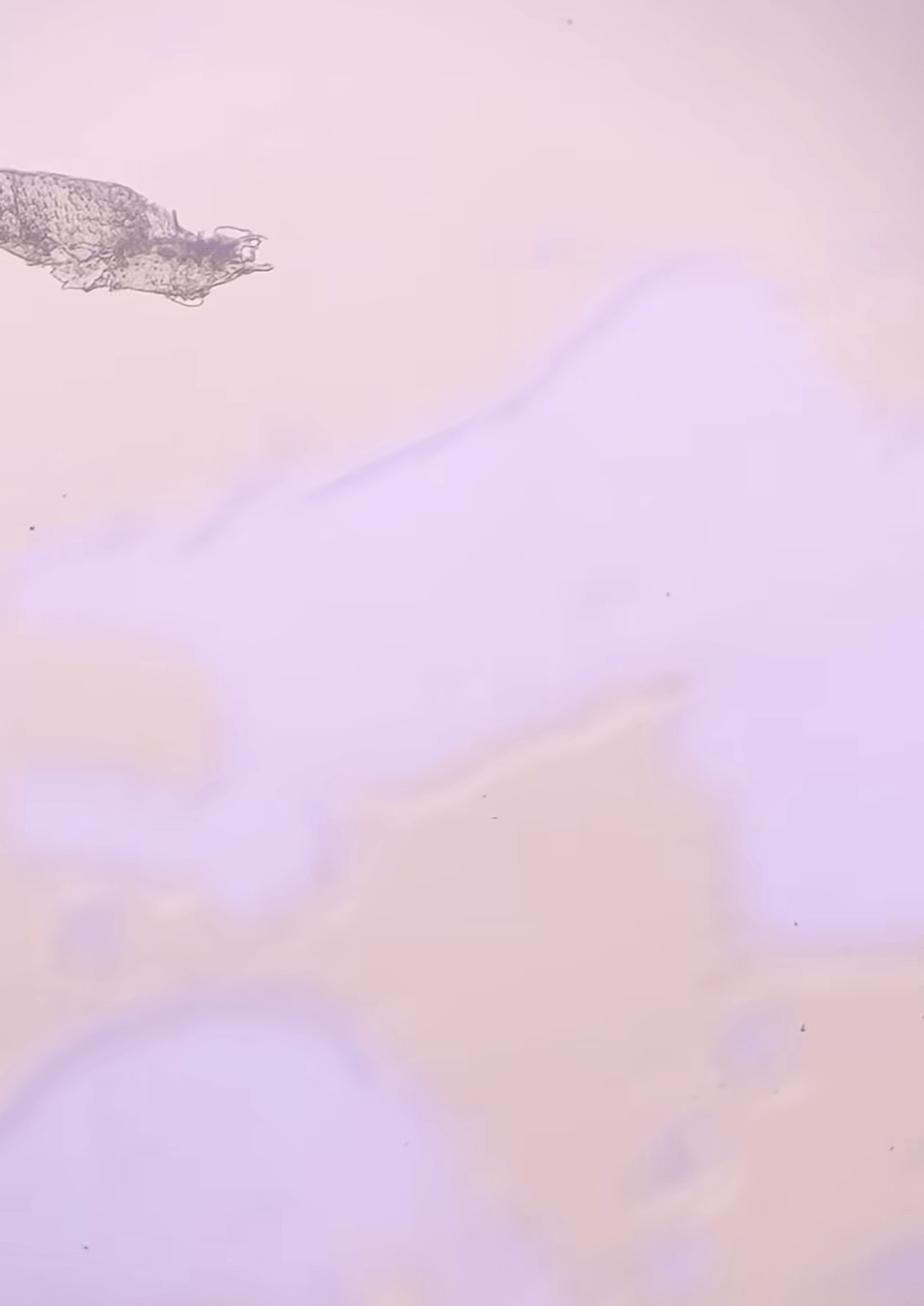 71e22126cc92d18b4d2bd1fe5d7fb195_739501369.png