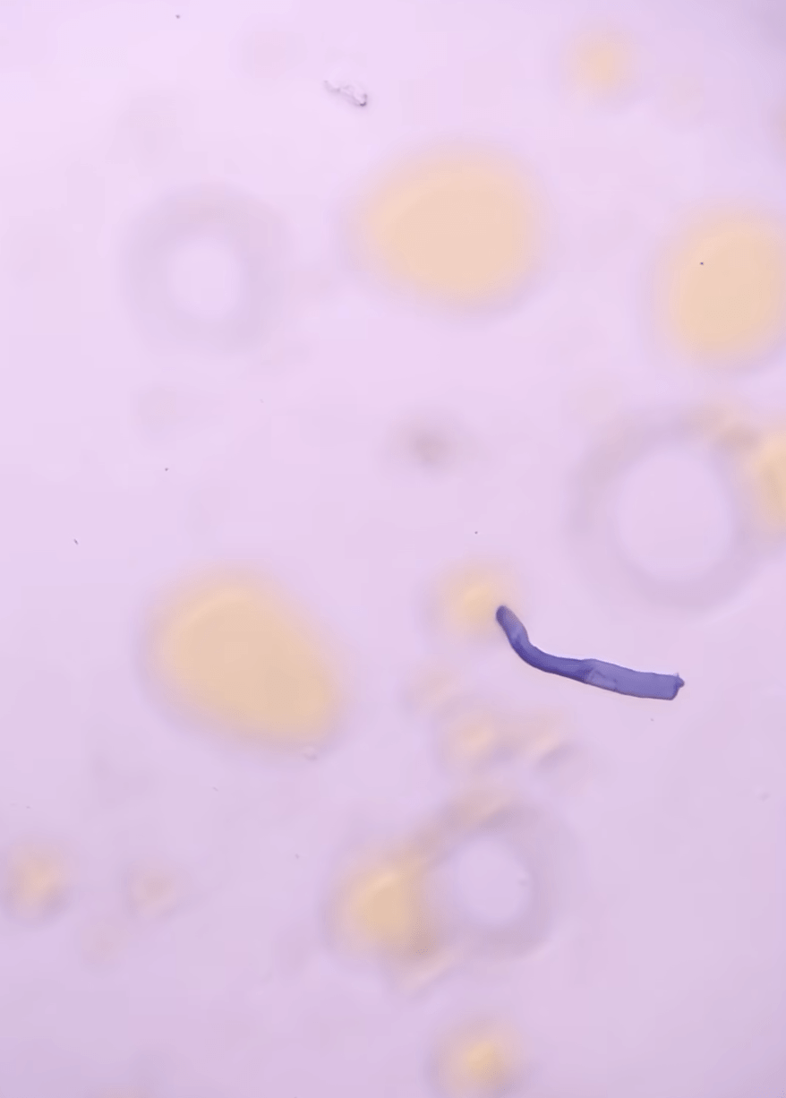 fa234e6151b92dc689020076d385cca1_1505556046.png