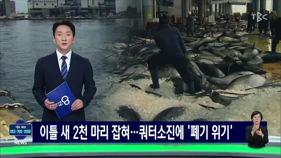 동해안 현재 상황