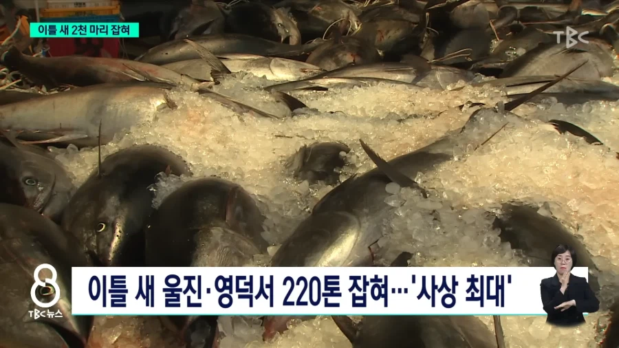 동해안 현재 상황_4.webp