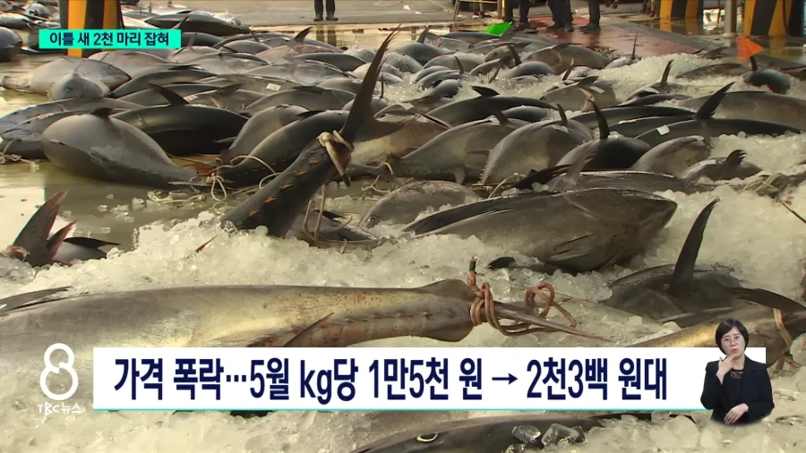 동해안 현재 상황_6.webp