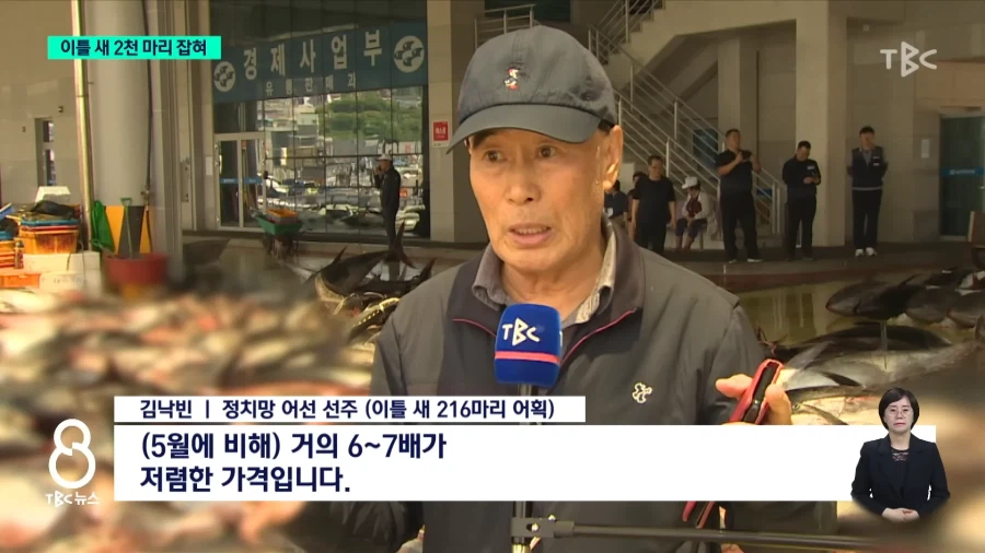 동해안 현재 상황_7.webp