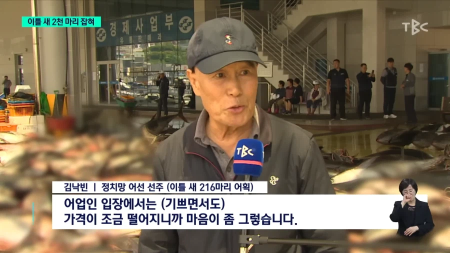 동해안 현재 상황_8.webp