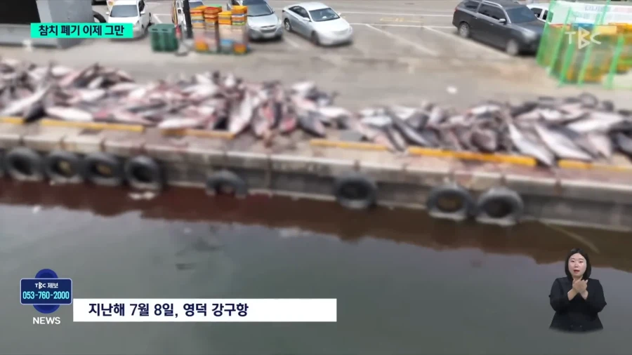 동해안 현재 상황_10.webp