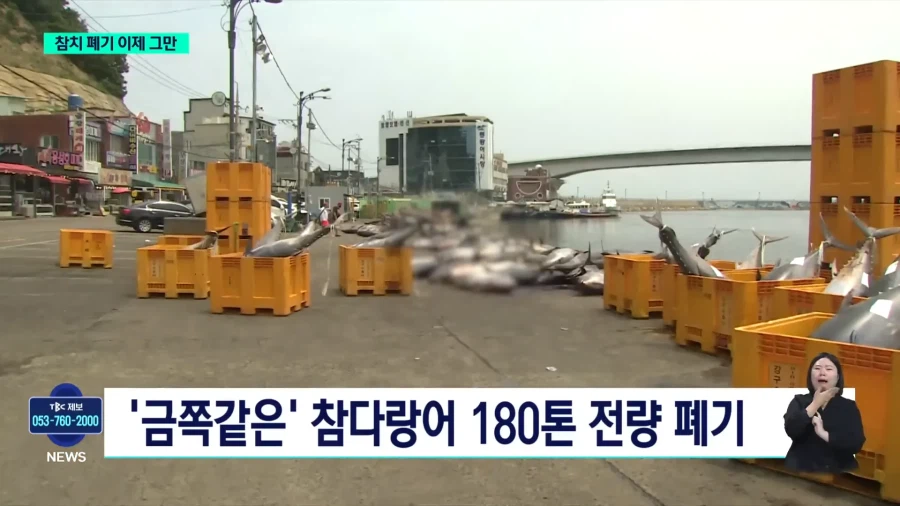동해안 현재 상황_11.webp