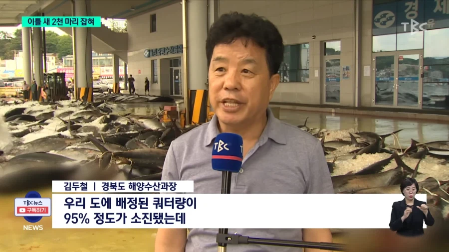 동해안 현재 상황_16.webp