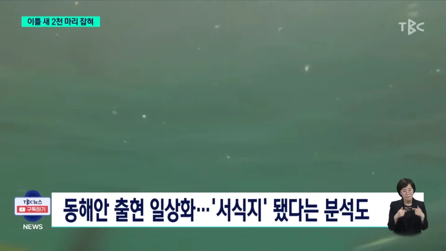 동해안 현재 상황_18.webp