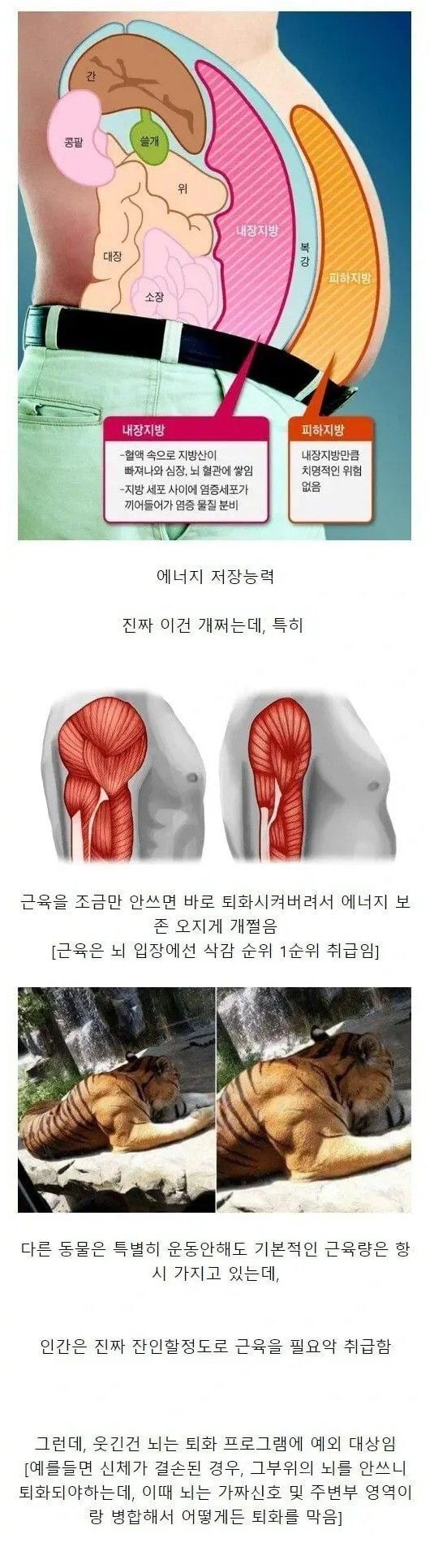 인간이 가진 S급 능력
