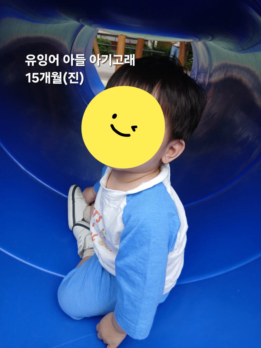 요즘 뜸했지만 아무도 안물안궁 근황보고 드립니다