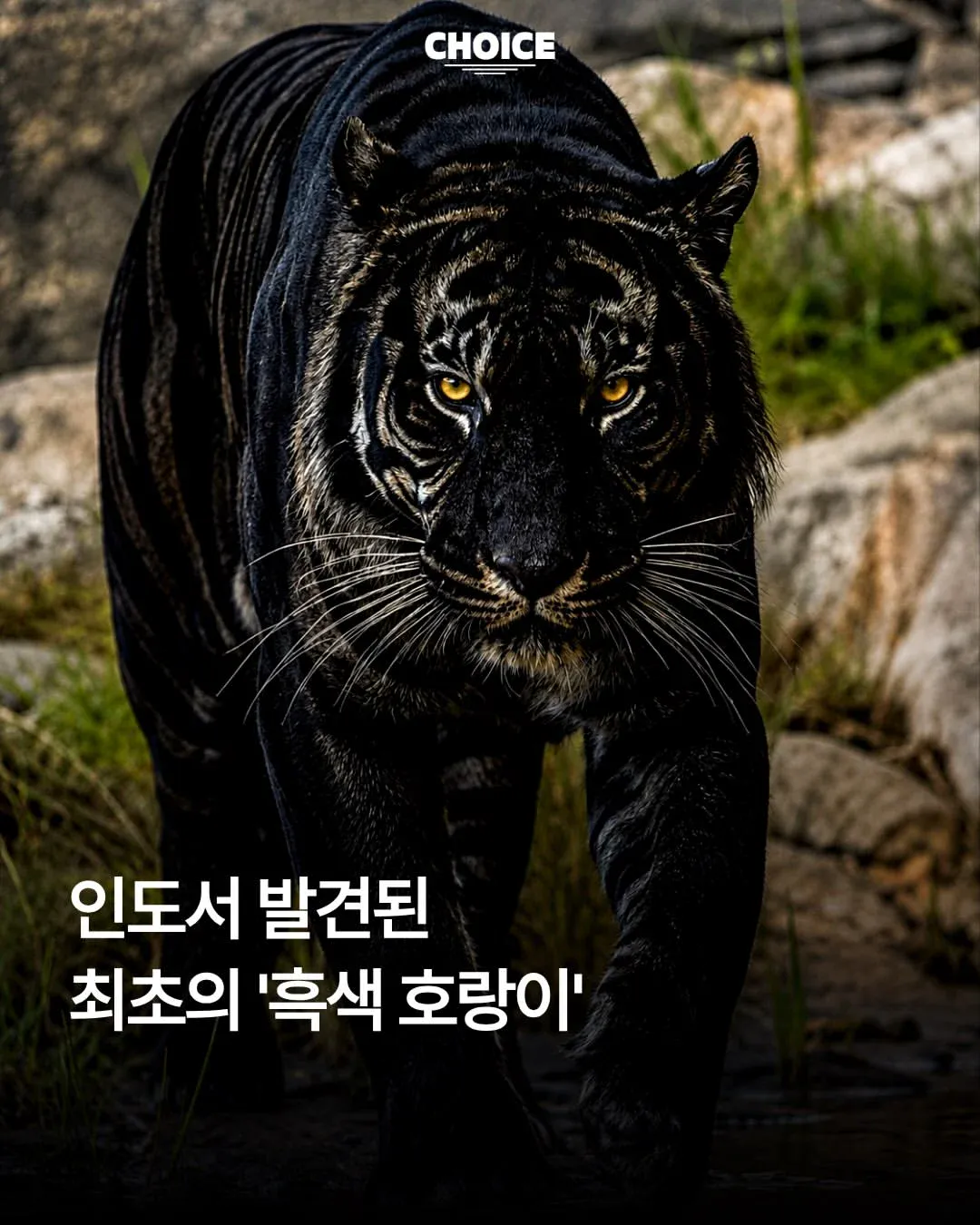 de4440d253506cb2b8040fc8deb42bc1_1544297690.webp