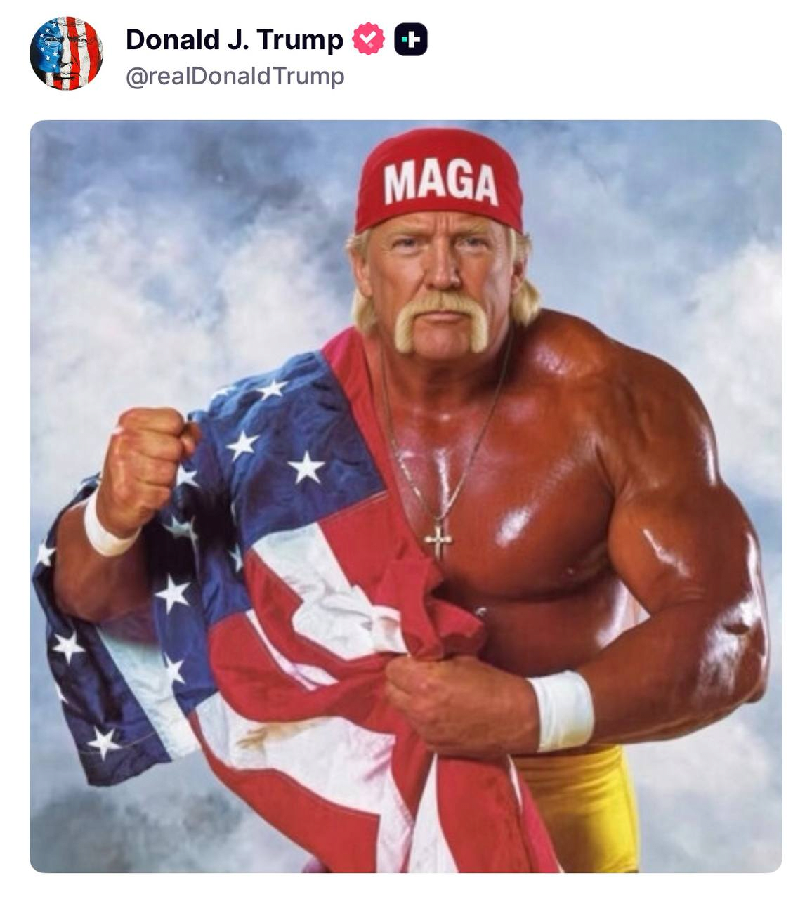 03f50998ad70cea7531fd80e16f3ad41_37080049.png