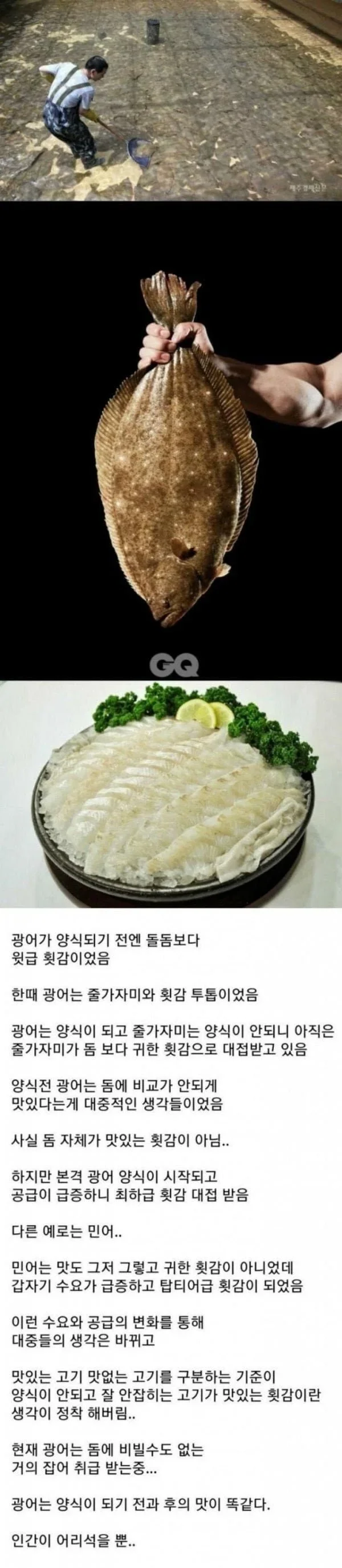 e4dac189e5ba6a23a6d3c1cc918d8c38_387902925.jpg